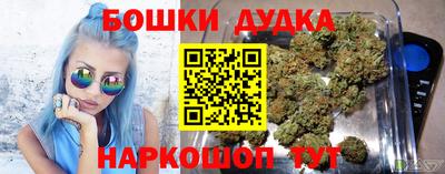 индика Ирбит