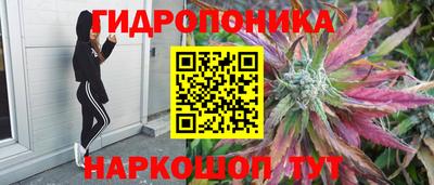 индика Ирбит