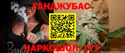 индика Ирбит