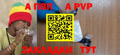 индика Ирбит