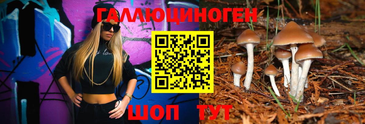 Псилоцибиновые грибы Psilocybine cubensis  Псилоцибиновые грибы мухоморы  Ленинск-Кузнецкий  Вход с VPN 